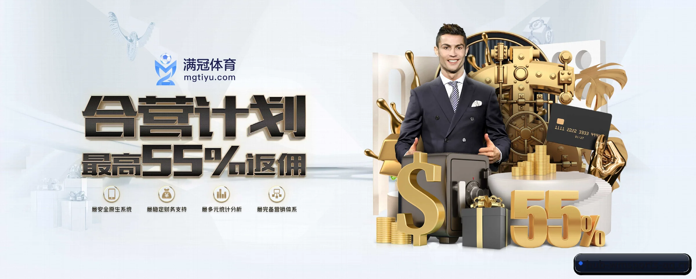 完美体育 APP | wmsports